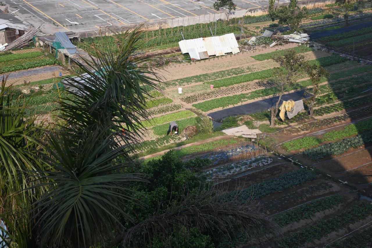 Fos Inn Xiamen Buitenkant foto